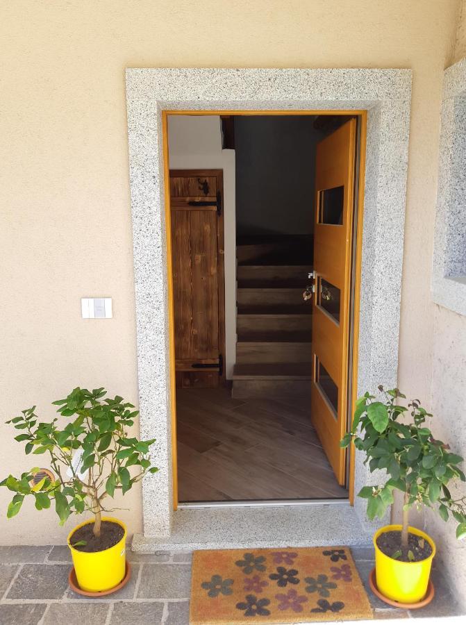 דירות מצולאגו Ledro Nest מראה חיצוני תמונה